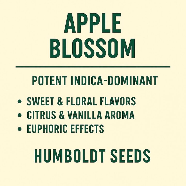 Apple blossom Auto Flower