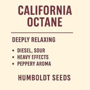 California Octane