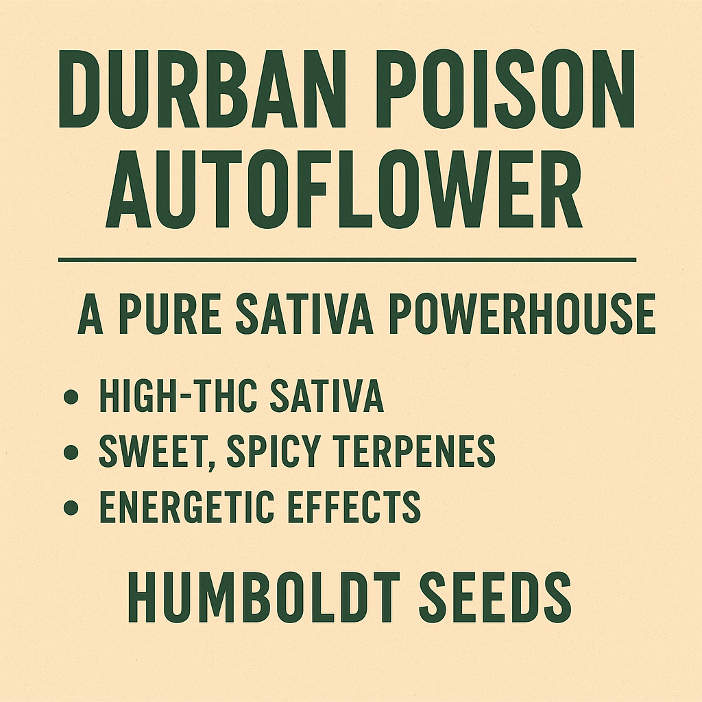 Durban Poison Auto Flower