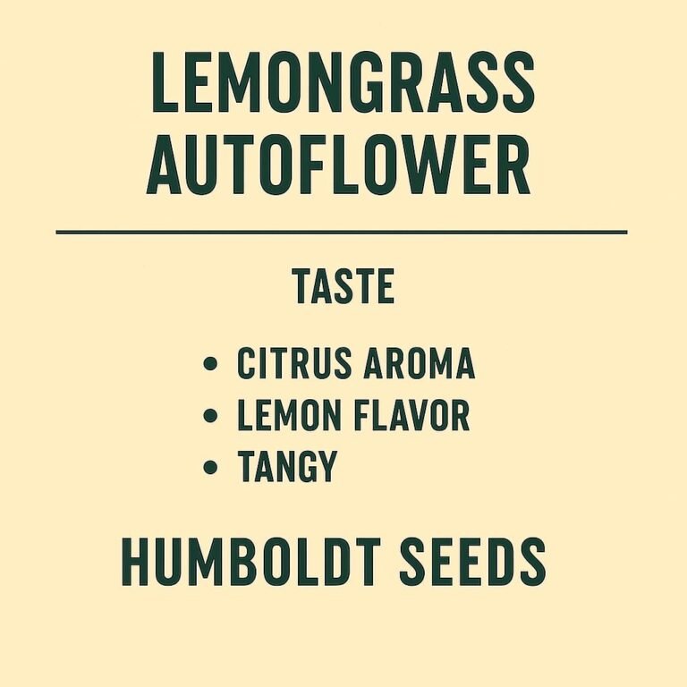 Lemongrass Auto Flower