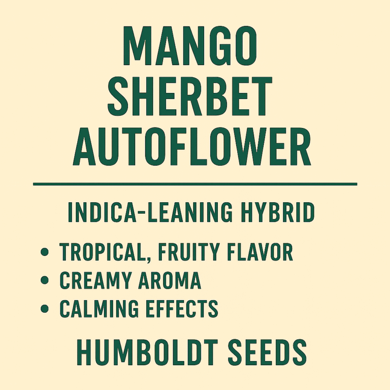 Mango Sherbret Auto Flower