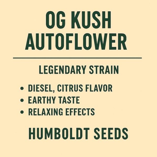 OG Kush Auto Flower