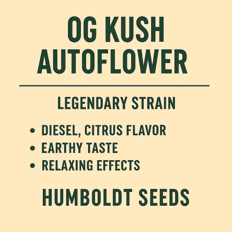 OG Kush Auto Flower