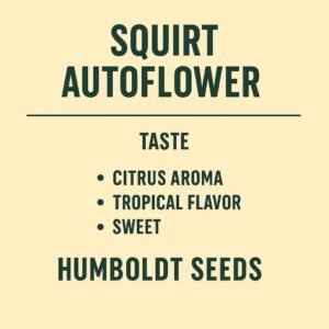 Squirt Auto Flower