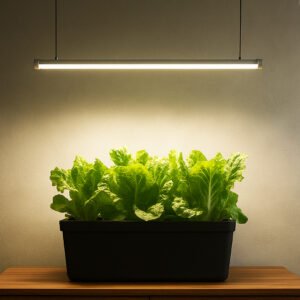 25 Watt Full Spectrum Lights