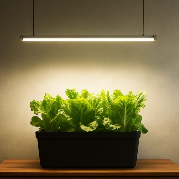 25 Watt Full Spectrum Lights
