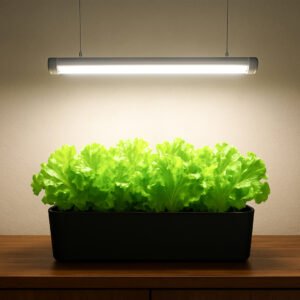 15 watt Full spectrum light