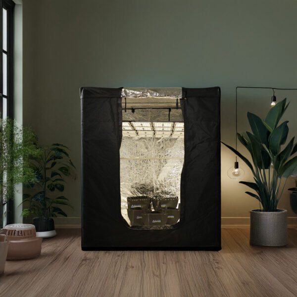 Zen 5x5x6 grow tent