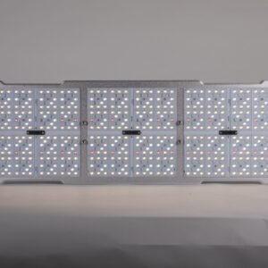 Lights 150w (Raptor)