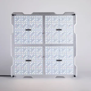 Lights 200w (NightHawk)