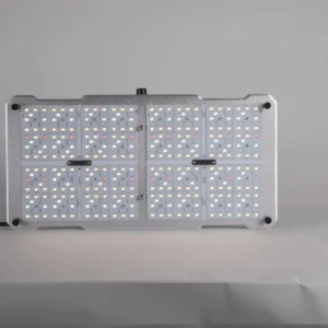 Lights 100w (Harrier)