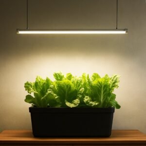 Sparkler 25Watt Tube Light