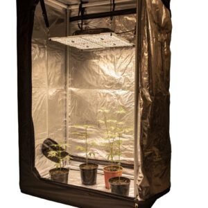 Zen Gro200 Pro Grow Kit