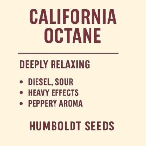 California Octane Feminized (Humboldt Seeds)