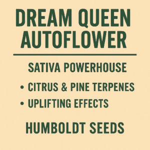 Dream Queen Auto Flower (Humboldt Seeds)