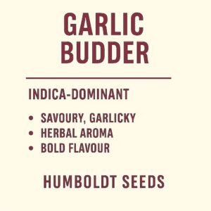 Garlic Budder Fem (Humboldt Seeds)