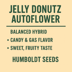 Jelly Donutz Auto Flower (Humboldt Seeds)