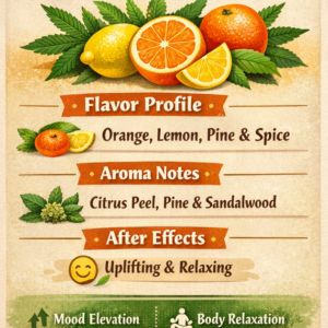 Mimosa X Master Kush ( Feminized)