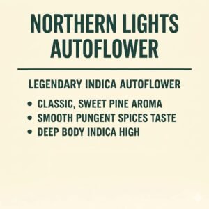 Northern Lights Auto Flower