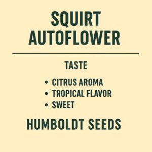 Squirt Auto Flower ( Humboldt Seeds)