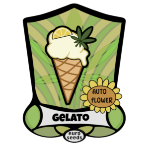 Gelato Auto Flower