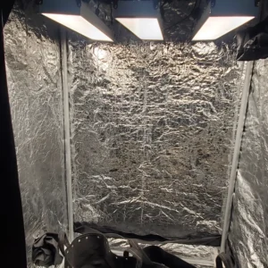 Zen Home Grow Kit 75