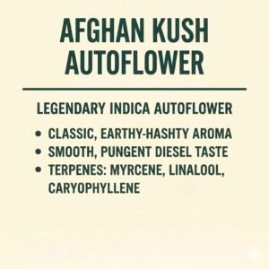 Afghan Kush Auto Flower
