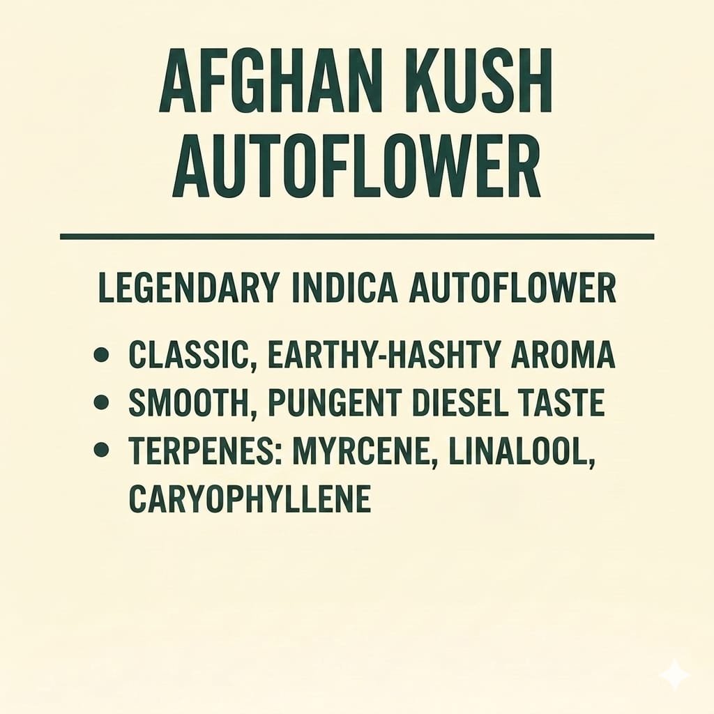Afghan Kush Auto Flower